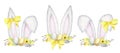 Easter Bunny ears set with floral crown and eggs isolated yellow gray Watercolor illustration on white background. Hand Royalty Free Stock Photo