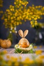 Easter bunny egg. Egg decorated with twine like a rabbit. Royalty Free Stock Photo