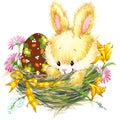 Easter bunny and Easter egg JPEG, PNG. Series for congratulations. watercolor Royalty Free Stock Photo