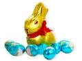 Easter Bunny And Eggs Royalty Free Stock Photo