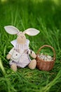 Easter bunny with eggs Royalty Free Stock Photo