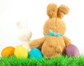 Easter bunny and eggs Royalty Free Stock Photo
