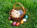 Easter bunny eggs on green grass Royalty Free Stock Photo