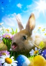Art Easter bunny, Easter eggs and spring flower Royalty Free Stock Photo