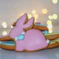 Easter bunny festive sweet gingerbread cupcake, cookies