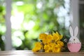 Easter bunny figure and flowers on table against blurred green background. Space for text Royalty Free Stock Photo