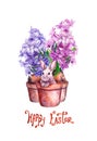 Easter bunny in a flower pot with spring hyacinth flowers. Lovely character rabbit, text Happy Easter . Watercolor