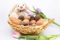 Easter bunny in the fresh egg basket Royalty Free Stock Photo