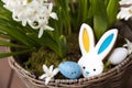 Easter bunny gingerbread cookie with ears yellow blue colored as Ukraine flag Royalty Free Stock Photo