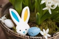 Easter bunny gingerbread cookie with ears yellow blue colored as Ukraine flag Royalty Free Stock Photo