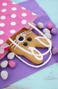 Easter bunny gingerbread cookie Royalty Free Stock Photo