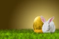 Easter bunny and golden egg Royalty Free Stock Photo