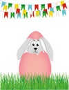 Easter bunny hatched from an egg. A rabbit is sitting in the grass