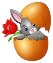 Easter bunny hatched from an egg with red flower