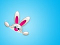Easter bunny hiding in pocket
