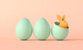 Easter bunny inside an easter egg. Happy easter springtime background. 3D Rendering