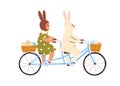 Easter bunny and kid with ears cycling on tandem bicycle, baskets with eggs. Cute rabbit and child in fairytale ride