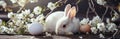 easter bunny laying on egg and spring blossoms with white peony