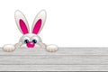 Easter bunny looking by the wooden fence