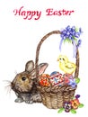 Easter bunny near basket with eggs with traditional painting, chick and spring flowers: pansies and violets, Happy Easter Royalty Free Stock Photo