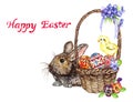 Easter bunny near basket with eggs with traditional painting, chick and spring flowers: pansies and violets, Happy Easter Royalty Free Stock Photo