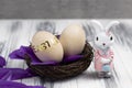 Easter bunny with a nest for eggs and with purple scattered feathers Royalty Free Stock Photo