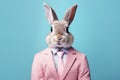 Easter bunny in pink suit and tie on a blue background. Anthropomorphic animals concept