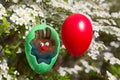 Easter bunny in a plastic egg with cut out. blooming spiraea bush