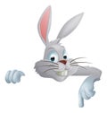 Easter bunny pointing down Royalty Free Stock Photo