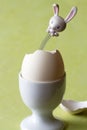 Easter bunny popping out of cracked eggshell, surprise egg, creative easter concept Royalty Free Stock Photo