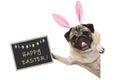 Easter bunny pug puppy dog with ears, eggs and blackboard with text happy easter