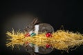 Easter bunny rabbit on the black background. Easter holiday concept. Cute rabbit in hay near dyed eggs.  Adorable baby rabbit.  Sp Royalty Free Stock Photo