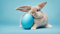 Easter bunny rabbit with blue painted egg on blue background. Easter holiday concept Royalty Free Stock Photo