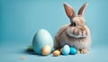 Easter bunny rabbit with blue painted egg on blue background. Easter holiday concept Royalty Free Stock Photo