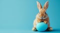 easter bunny rabbit with blue painted egg on blue background. easter holiday concept. AI Generative Royalty Free Stock Photo