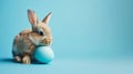 easter bunny rabbit with blue painted egg on blue background. easter holiday concept. AI Generative Royalty Free Stock Photo