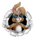 Easter Bunny Cool Thumbs Up Rabbit in Sunglasses Royalty Free Stock Photo