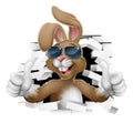 Cool Easter Bunny Shades Thumbs Up Breaking Wall Royalty Free Stock Photo