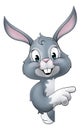 Easter Bunny Rabbit Cartoon Character Peeking Sign Royalty Free Stock Photo