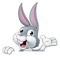 Easter Bunny Rabbit Cartoon Character Peeking Sign Royalty Free Stock Photo