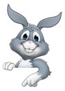 Easter Bunny Rabbit Cartoon Character Peeking Sign Royalty Free Stock Photo