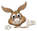 Easter Bunny Rabbit Cartoon Character Peeking Sign Royalty Free Stock Photo