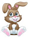 Easter Bunny Rabbit Cartoon Royalty Free Stock Photo