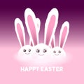 Easter bunny rabbit characters