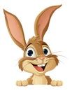 Easter Bunny Rabbit Peeking Around Sign Cartoon Royalty Free Stock Photo