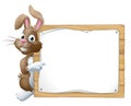 Easter Bunny Rabbit Peeking Around Sign Pointing Royalty Free Stock Photo