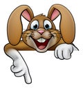 Easter Bunny Rabbit Pointing Royalty Free Stock Photo