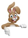 Easter Bunny Rabbit Pointing Cartoon at Sign Royalty Free Stock Photo