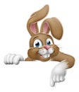 Easter Bunny Rabbit Pointing Cartoon at Sign Royalty Free Stock Photo