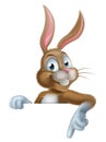 Easter Bunny Rabbit Pointing Down Royalty Free Stock Photo
